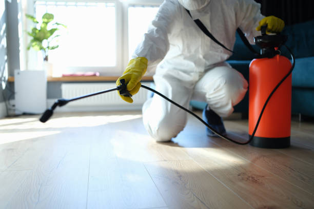 Reliable Sewage Cleanup contractor in Peoria, IL by Trauma Clean Pros